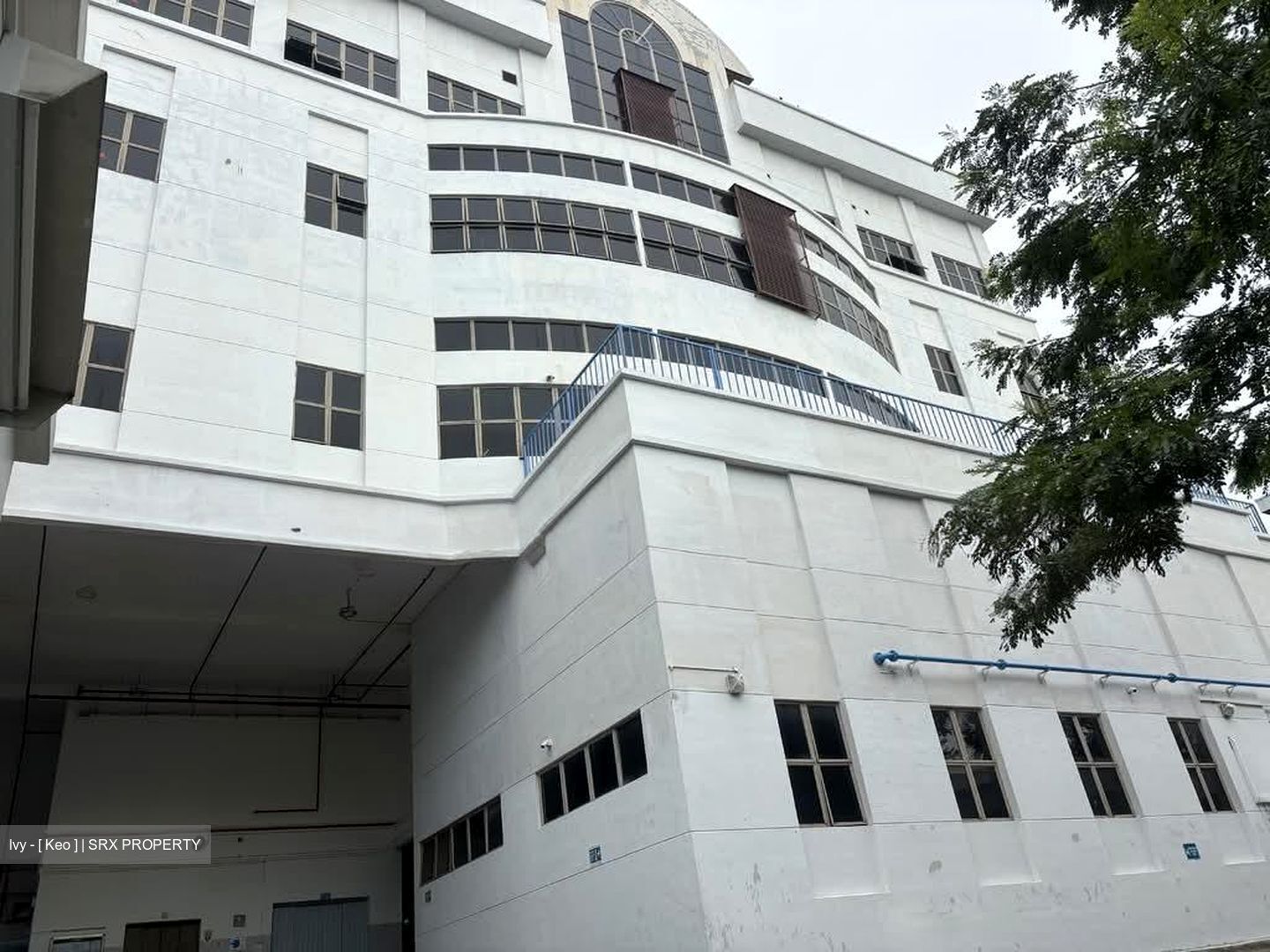 Tuas Avenue 9 (D22), Factory #562952851